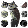 Rotating Head Owl Garden Decoy