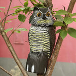 Rotating Head Owl Garden Decoy